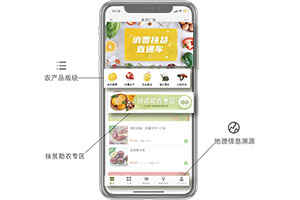 广粮信息手艺（广东）有限公司